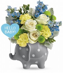 Hello Sweet Baby from Carl Johnsen Florist in Beaumont, TX